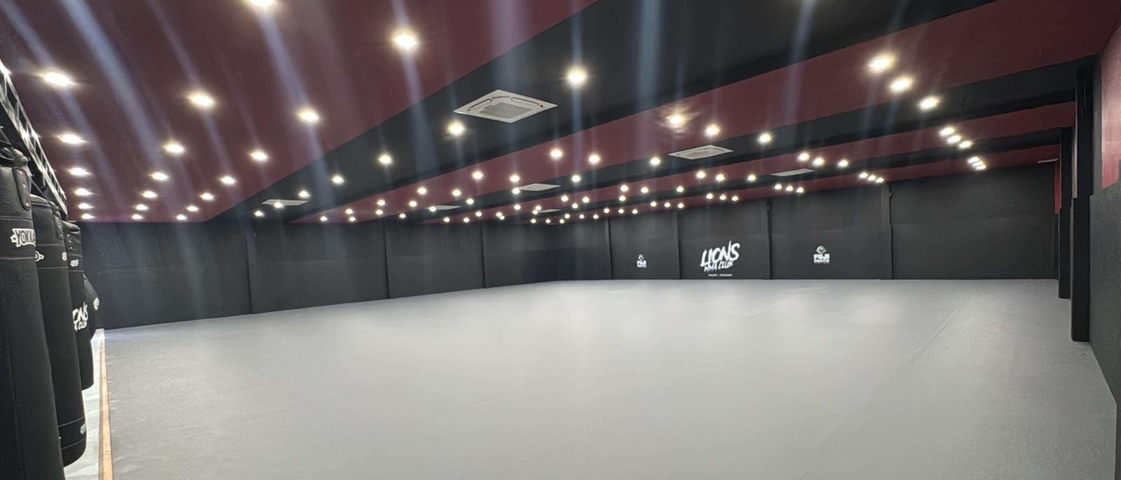 BJJ and MMA training on Fuji mats
