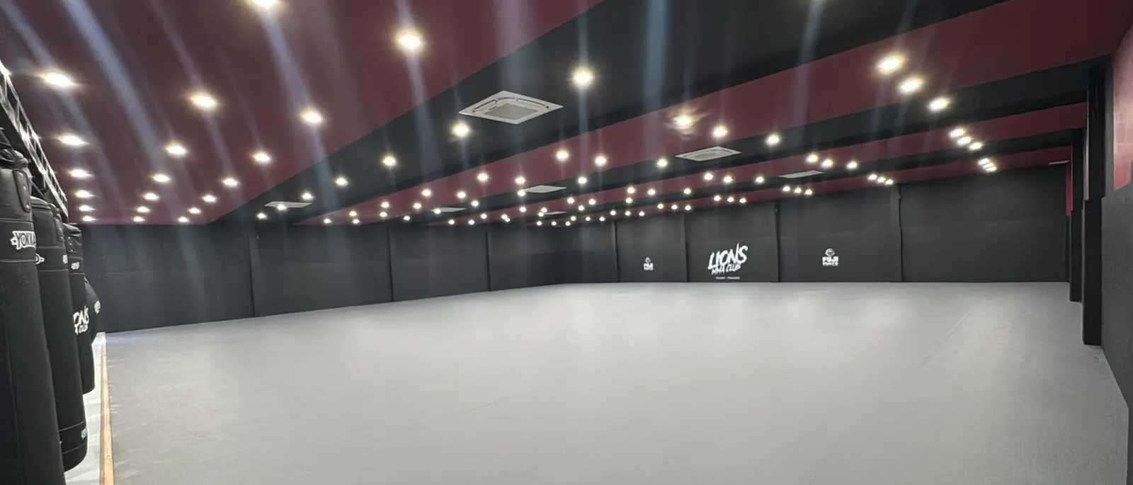 BJJ and MMA training on Fuji mats