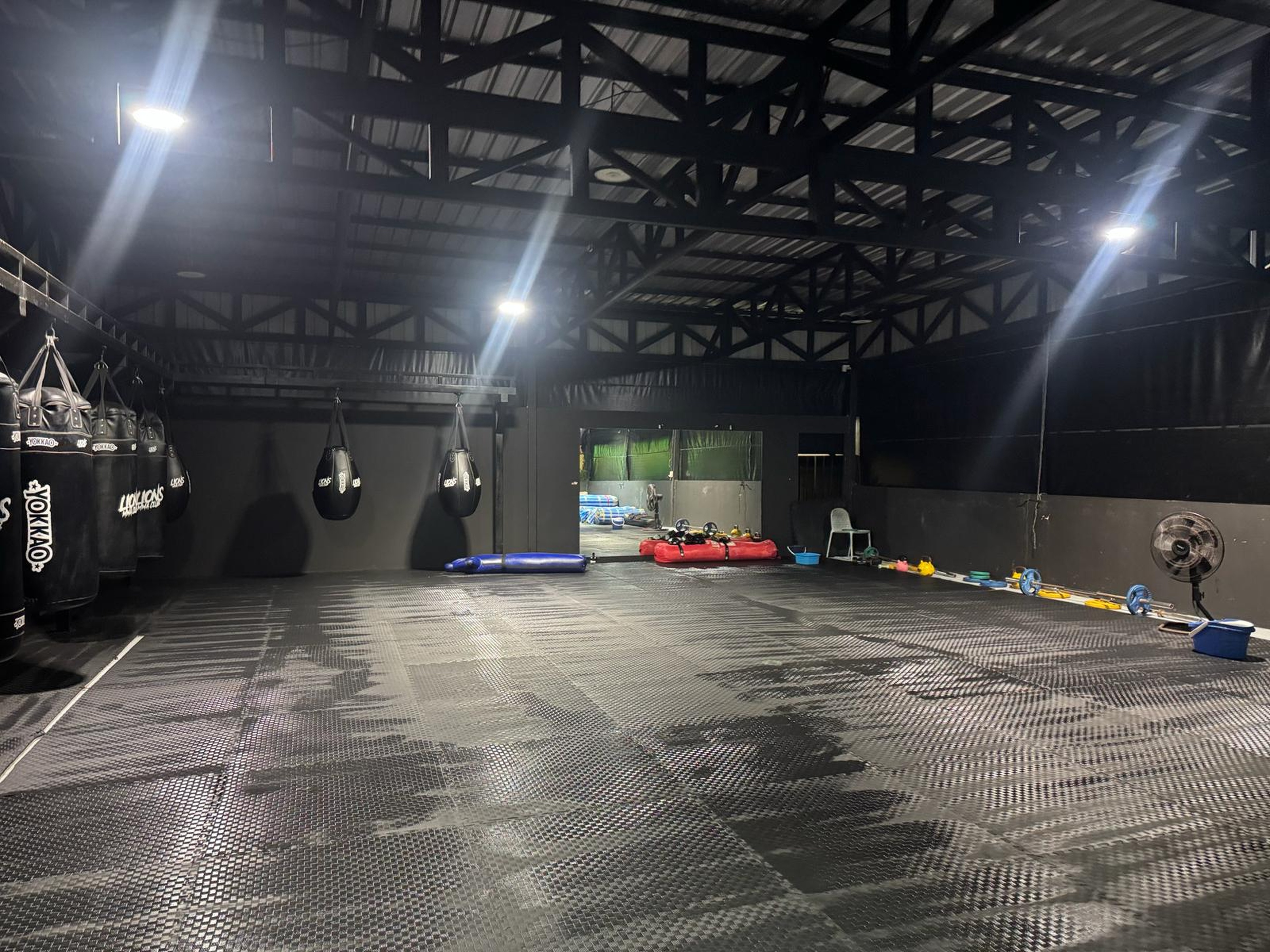 Muay Thai and boxing focus area with heavy bags and mirrors