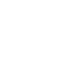 Lions MMA Club